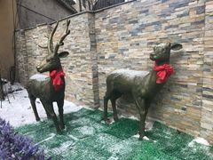 -哈尔滨中央大街华特酒店