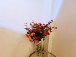 -MOZZ木子造型