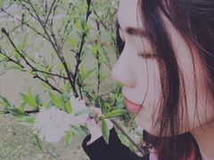 -常德桃花源景区
