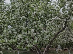 -元大都城垣遗址公园