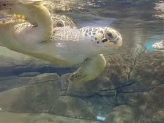 -福州罗源湾海洋世界旅游区