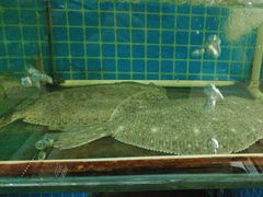 -兆辉木炭海鲜烧烤·海鲜小炒