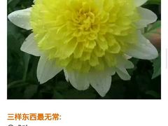 -成都泰迪熊博物馆