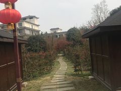 -郫都区农科村景区