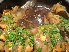 -金龙寨(解西店)