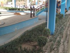 -南宫温泉水世界