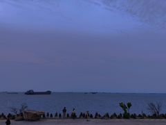 -上海滨江森林公园