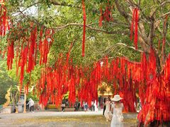 -西双版纳勐泐文化旅游区