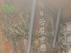 -破瓦寒窑·地摊烤羊排