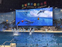 -泉城欧乐堡海洋极地世界