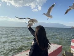 -大理洱海