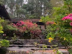 -深圳国际园林花卉博览园