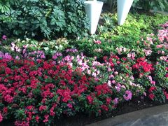 -石家庄市植物园