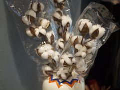 -Flower in(密渡桥店)