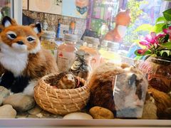 -狐狸家·酸奶酪专门店(平江路店)