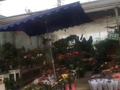 -三圣花乡旅游区