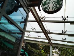 -星巴克(陆家嘴软件园店)