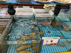 -抹直口特色菜馆(一店)