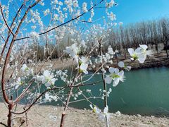 -东郊湿地公园