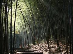 -穹窿山景区