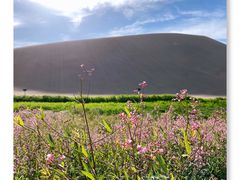 -鸣沙山月牙泉风景名胜区