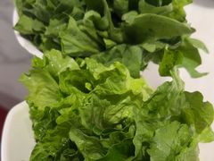 -同仁四季椰子鸡(福田东园总店)