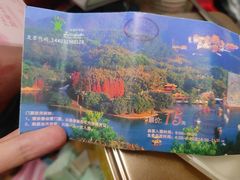 -深圳仙湖植物园