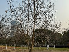 -白塘生态植物园