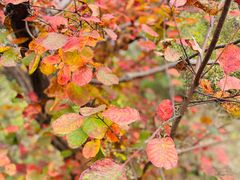 -北京十三陵国家森林公园蟒山景区