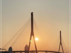 -上海市杨浦区中医医院