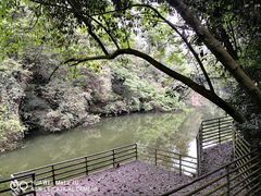 -保利石象湖景区