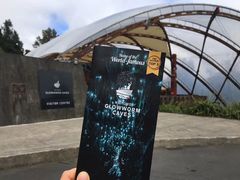 -怀托摩萤火虫洞