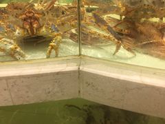 -白金汉爵大酒店(相城店)