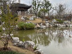 -上海滨江森林公园