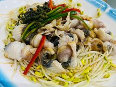 -港升鱼师傅·中山脆肉鲩
