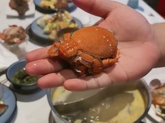 -喜庭海鲜自助(深圳万丰海岸城店)