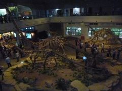 -自贡恐龙博物馆