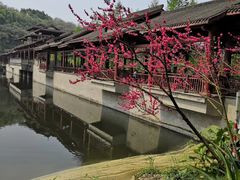 -重庆彩云湖湿地公园