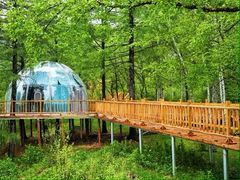 -北极村旅游风景区