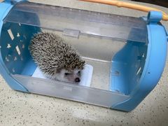 -美联众合动物医院·24h转诊中心
