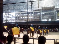 -东芭乐园