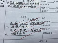 -文启·优思高端托教(复兴校区)