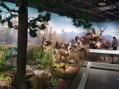 -陕西自然博物馆