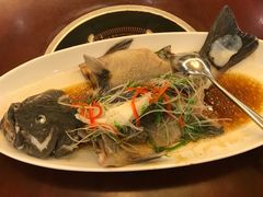 -海通1号(梅峰店)