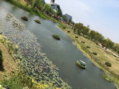 -南通鲜花小镇
