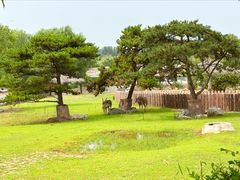 -沈阳森林动物园