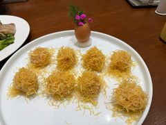 -丁老爷子苏香圆