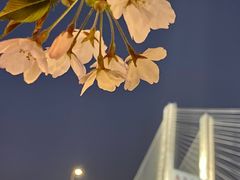 -南浦大桥长途旅游客运站