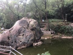 -青芝山风景名胜区