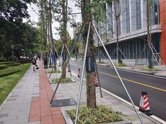 -西南政法大学(渝北校区)